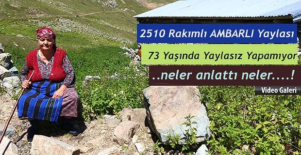 Maynur Nine 73 Yaşında olmasına rağmen Yaylada kalan tek tük hayvancılardan biri