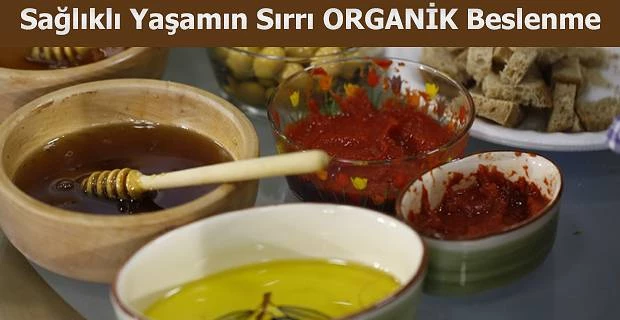 SAĞLIKLI BİR YAŞAMIN SIRRI ORGANİK BESLENMEDE