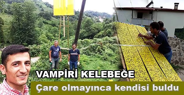 VAMPİR KELEBEK SORUNUNA TUZAK KURARAK ÇÖZÜM BULUNDU