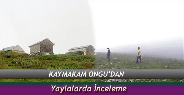 YAYLALARDA İNCELEME