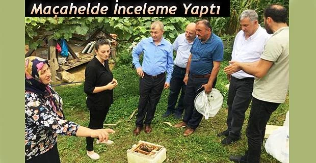 CAMİLİ (MACAHEL) BÖLGESİNDE ZİYARET VE İNCELEMELERDE BULUNDU