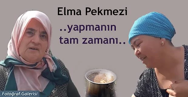 Elma pekmezi her derde deva