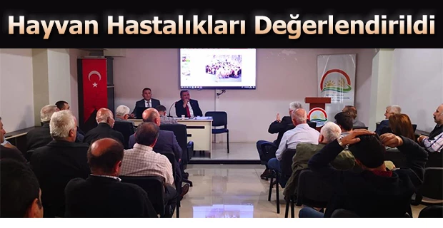 HAYVAN HASTALIKLARI DEĞERLENDİRİLDİ.