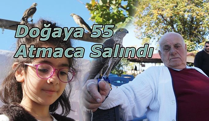 DOĞAYA 55 ATMACA SALINDI