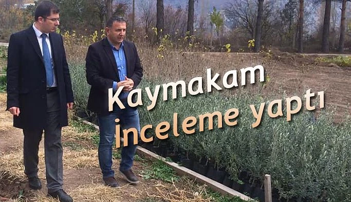 Kaymakam Ömer Özbay, Orman İşletme Müdürlüğünün Bazı Çalışma Sahalarında İncelemelerde Bulundu