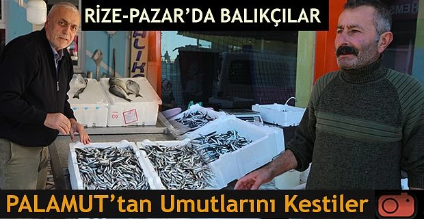 Rize-Pazar’da Balıkçılar PALAMUT ’tan umutlarını kestiler