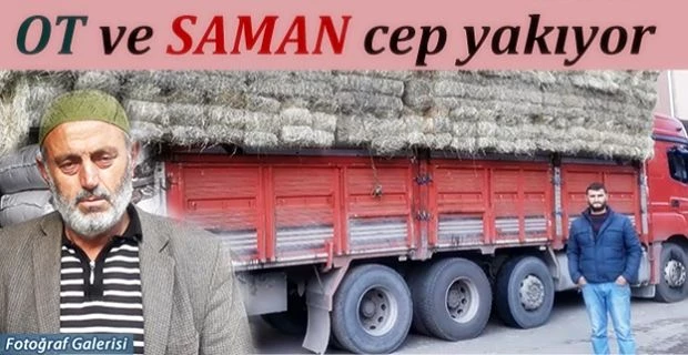 Rize’de Ot ve Saman satıcıları dertli