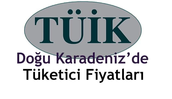 TÜKETİCİ FİYATLARI DOĞU KARADENİZ BÖLGESİ’NDE AYLIK 1,85 ARTTI