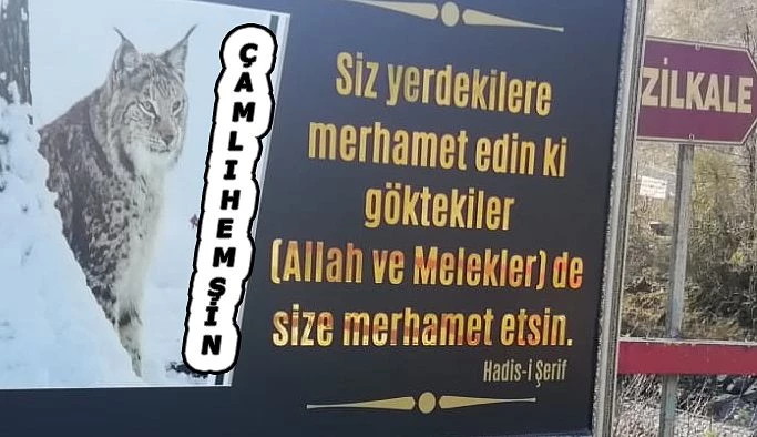 Anlamlı Mesaj