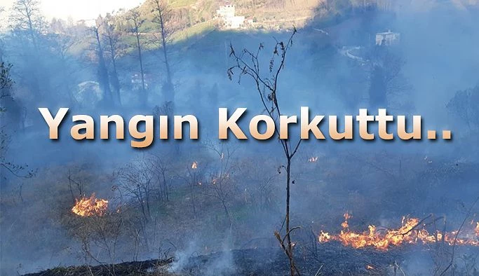 ÇAYLIK ALANDA ÇIKAN YANGIN KORKUTTU