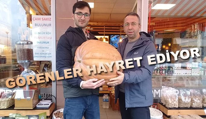 25 KİLOLUK KABAK GÖRENLERİ HAYRETE DÜŞÜRÜYOR