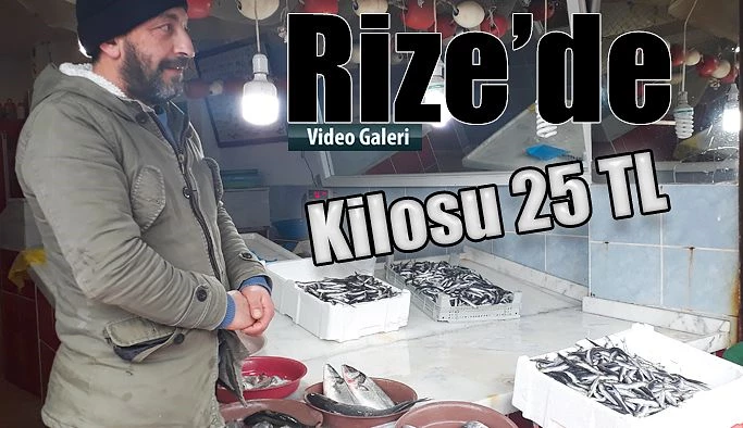 Hamsi fiyatları Cep Yakıyor; Kilosu 25 TL