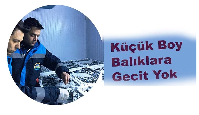 KÜÇÜK BOYDA BALIK AVCILIĞINA GEÇİT YOK