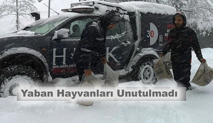 Yabani Hayvanlar İçin Doğaya Yem Bırakıldı