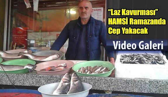 Hamsinin kilosu 20 liraya çıktı