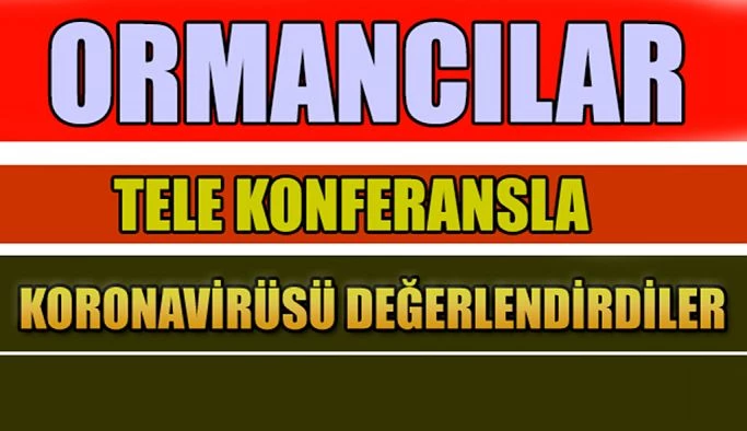 ORMANCILAR TELE KONFERANSLA CORONAVİRÜS’U DEĞERLENDİRDİLER