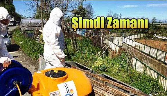 SİVRİSİNEK VE HAŞEREYLE ‘LARVA’ DÖNEMİNDE MÜCADELE