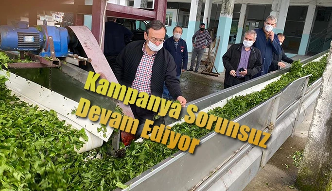 Alim:Çay Alım Kampanyası Huzurlu Bir Şekilde Devam Ediyor