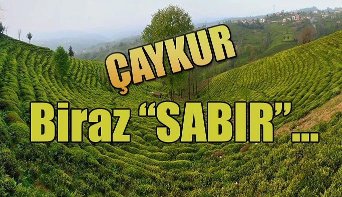 Çaykur