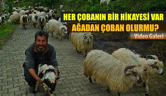 Her Çobanın Bir Hikayesi Vardır: