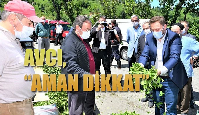 Milletvekili AVCI: Maske ve sosyal mesafe kurallarına dikkat