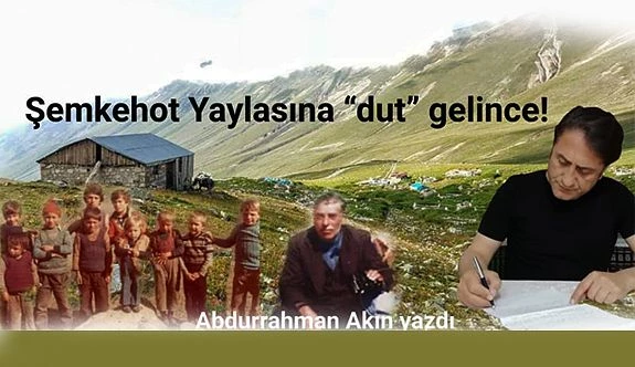 Şemkehot Yaylasına “dut” gelince!