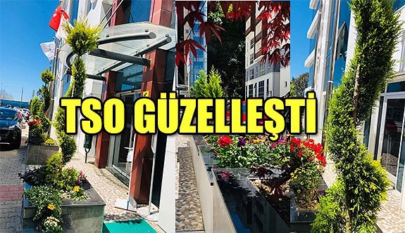 TSO PEYZAJ ÇALIŞMALARINI TAMAMLADI