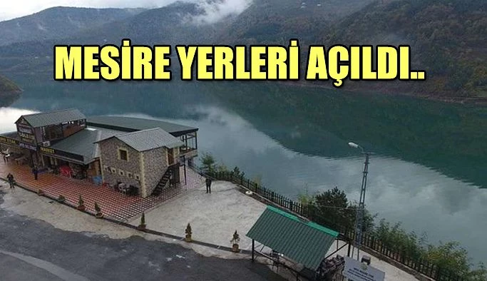 MESİRE YERLERİ YENİDEN HİZMETE AÇILDI