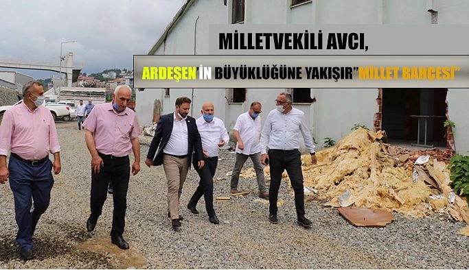 Milletvekili Avcı: Ardeşen