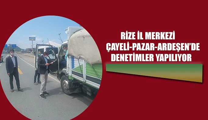 Vergi Denetimleri Devam Ediyor