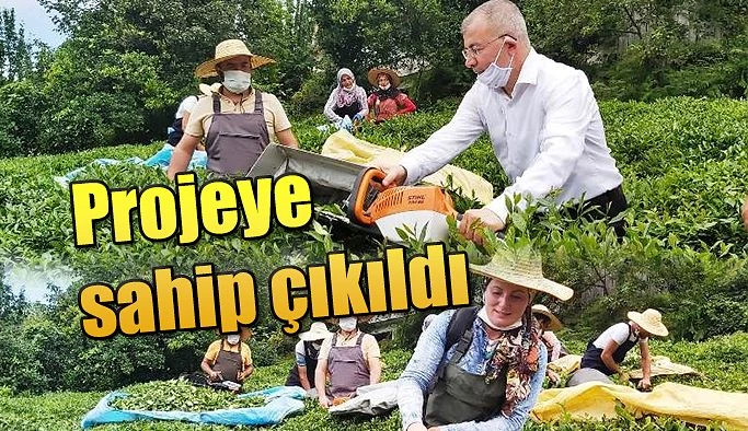 ÇAY HASADINA YERLİ İŞ GÜCÜ DESTEĞİ PROJESİ