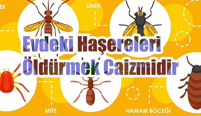 Haşereleri bile sebepsiz öldürmek caiz değildir.