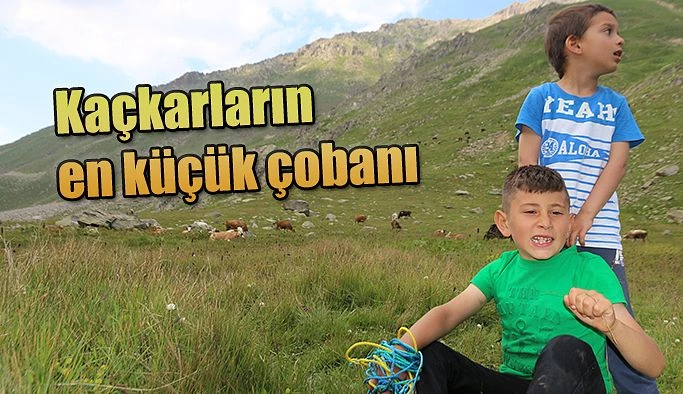 Kaçkarların en küçük çobanı