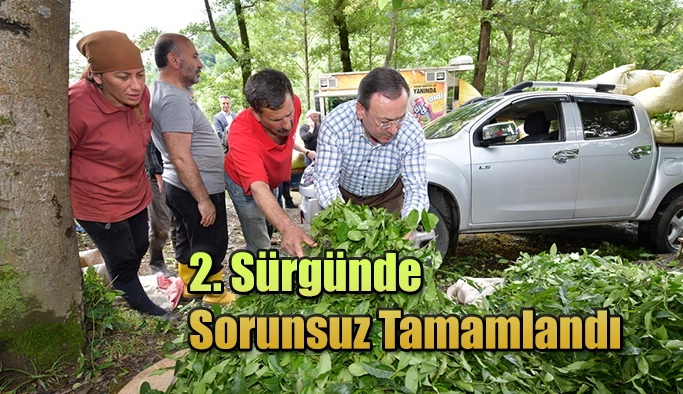 İkinci sürgün yaş çay alımları tamamlandı