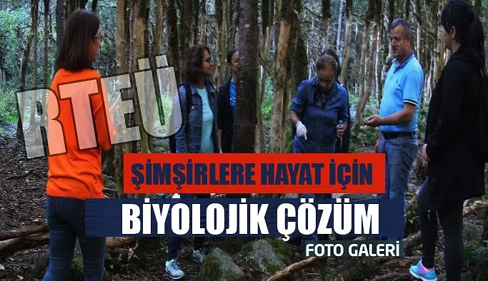 ŞİMŞİRLERE KARŞI BİYOLOJİK MÜCADELE