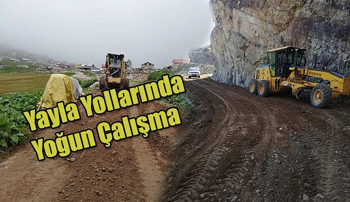 Çamlıhemşin’de Yoğun Çalışma