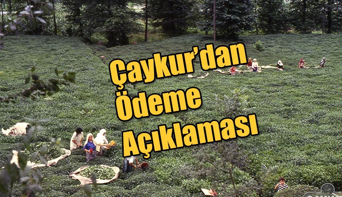 Çaykur