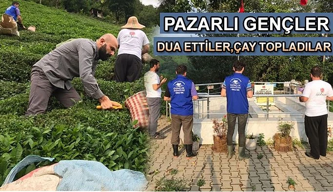 Pazarlı Gençler: Şehit Kabrinde Dua Ettiler Çay Topladılar