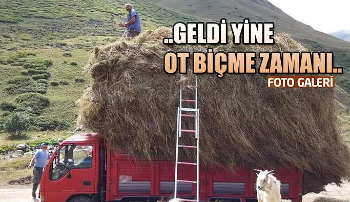 Yaylalarda Ot Biçme Zamanı