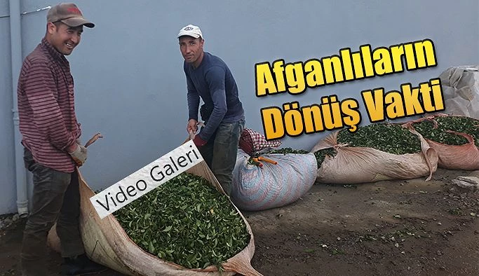 Afganlıların Dönüş Vakti…