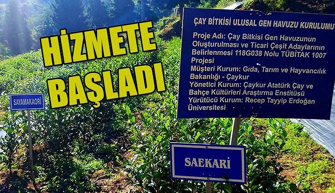 ÇAYKUR’UN AKREDİTE EDİLEN YENİ ARAŞTIRMA MERKEZİ TOPLU HALDE HİZMETE BAŞLADI