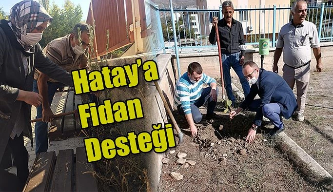 HATAY’A FİDAN DESTEĞİ