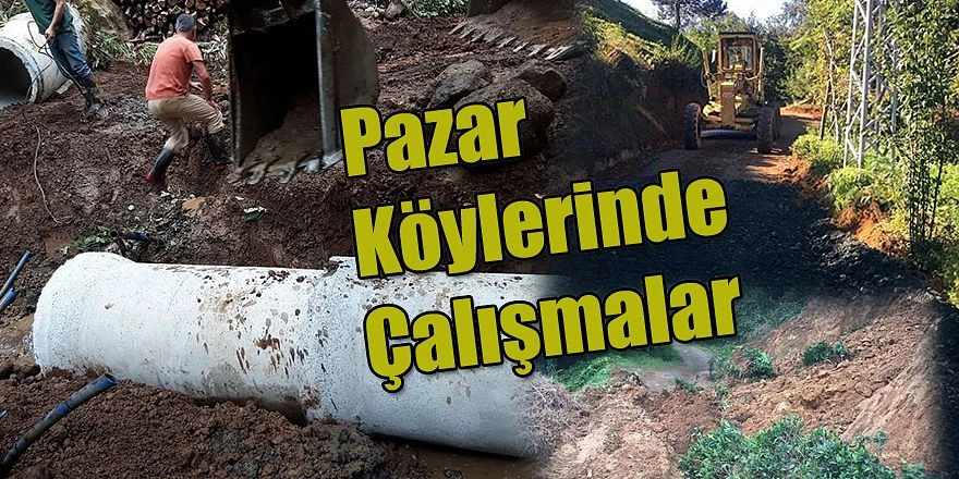 Pazar İlçesi köylerinde Çalışma..