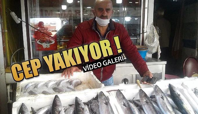 Rize’de Balık, CEP Yakıyor.