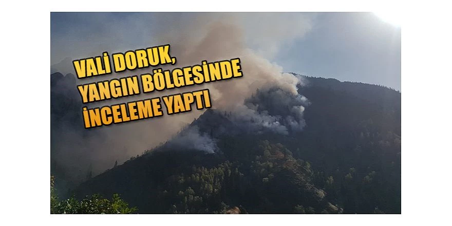 VALİ DORUK MURGUL’DA YANGIN BÖLGESİNDE