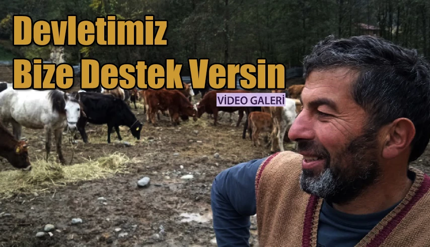 Hayvancılık Yapan Telatar: “Devletten Destek bekliyoruz”