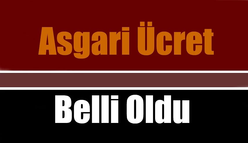 2021 ASGARİ ÜCRET FİYATI NEKADAR