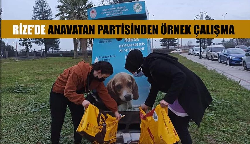 ANAVATAN PARTİSİNDEN ÖRNEK ÇALIŞMA