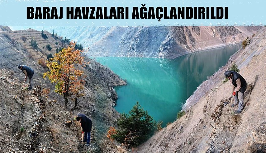 BARAJ HAVZALARI AĞAÇLANDIRILDI