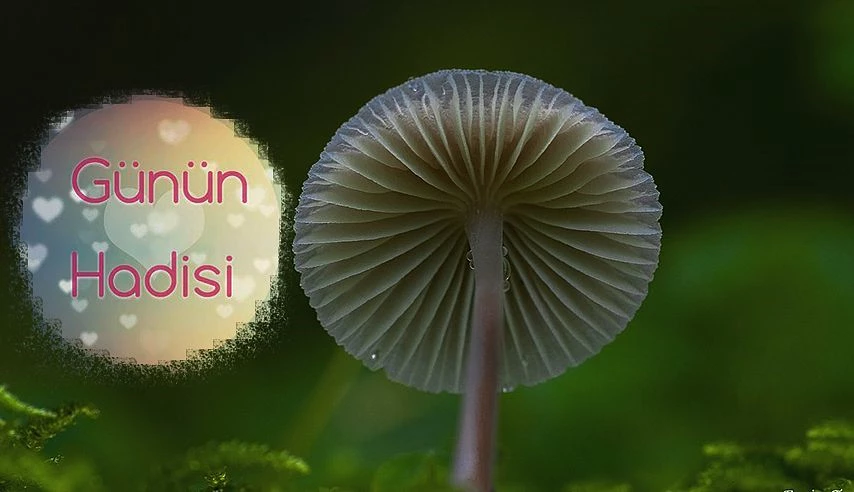 Günün Hadis-i